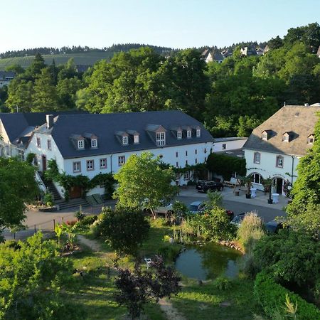 Hotel Und Weingut Karlsmuehle Mertesdorf Екстериор снимка