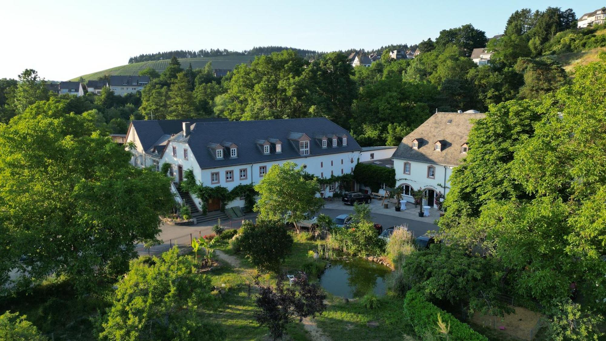 Hotel Und Weingut Karlsmuehle Mertesdorf Екстериор снимка